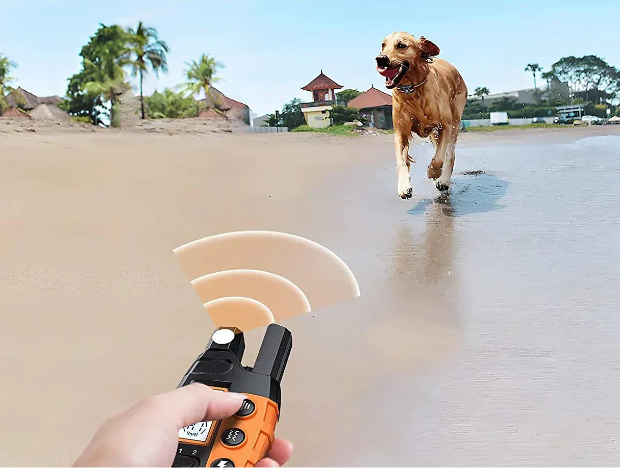 Remote Dog Training Collar | Shock Collar for Dogs with 1000m Range | Waterproof Design for Effective Obedience Training 1