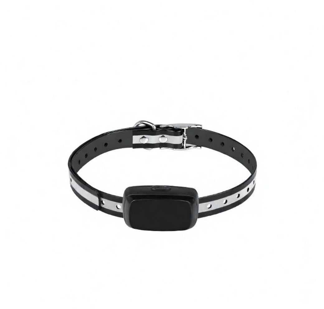 Wireless dog fence system with weatherproof collar by tail-wagged, showing a dog wearing the collar in an outdoor yard.
