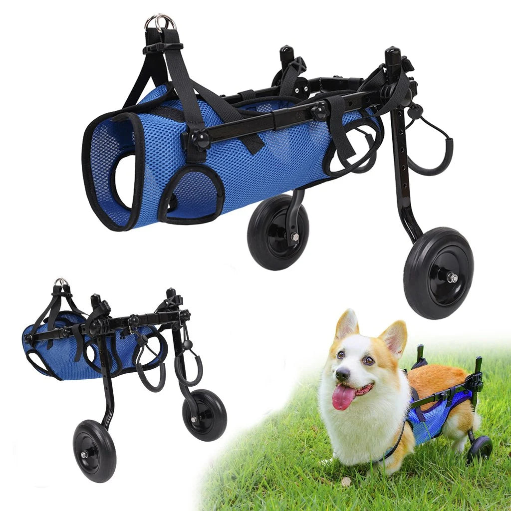 Adjustable Dog Wheelchair for Back Legs with Breathable Harness | Mobility Support for Small Dogs 1