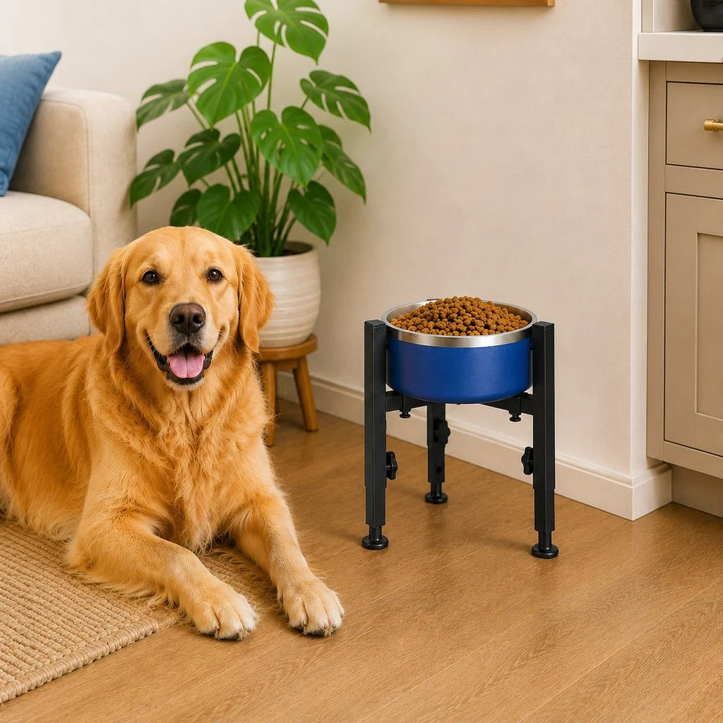 Adjustable Elevated Dog Bowl Stand with Removable Stainless Steel Bowl - Comfortable Feeding Solution for All Dog Sizes 9