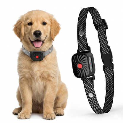 CalmPaw | Anti Bark Collar for Small Dogs with Adjustable Fit | Gentle Deterrent for Peaceful Living