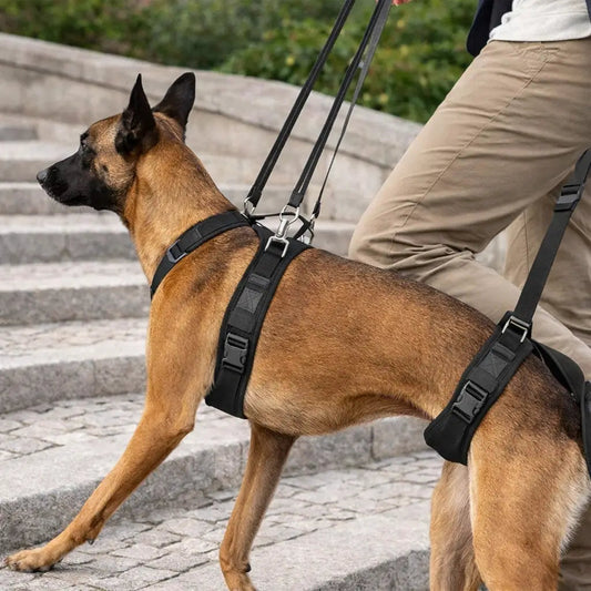 Canine Comfort | Adjustable Rehabilitation Dog Carrier with Soft Padding | Secure Support for Mobility 1