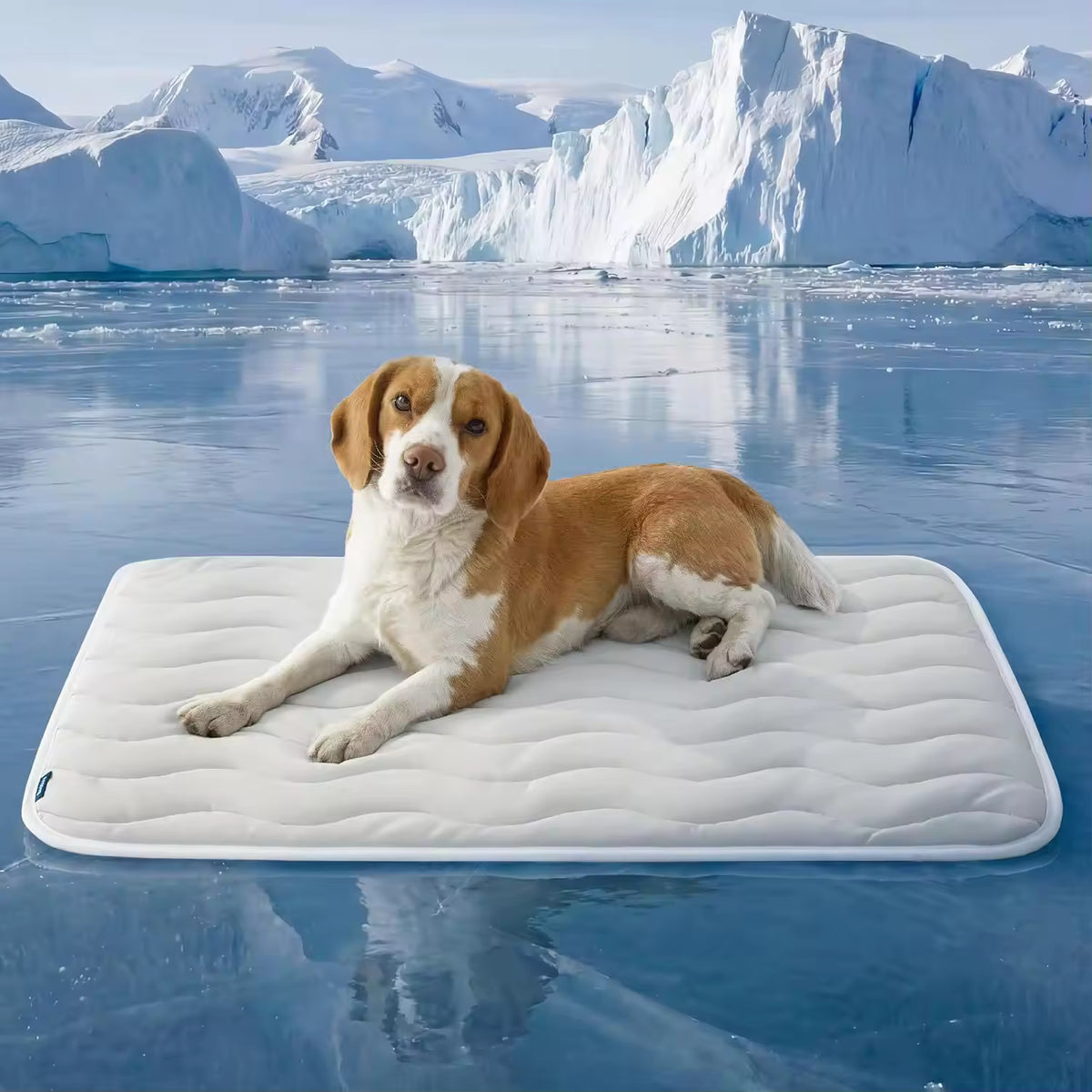 Chill Collection | Dog Cooling Mat with Instant Relief & Breathable Design for Summer Comfort 0