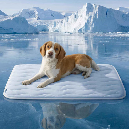 Chill Collection | Dog Cooling Mat with Instant Relief & Breathable Design for Summer Comfort 1