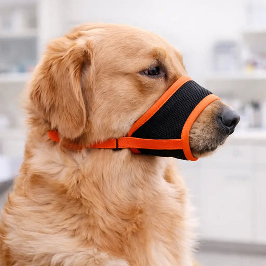 Comfort Plus | Dog Muzzle for Biting with Breathable Design | Adjustable Basket Muzzle for Safety and Control 1