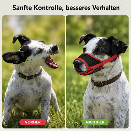 Comfort Plus | Dog Muzzle for Biting with Breathable Design | Adjustable Basket Muzzle for Safety and Control 2