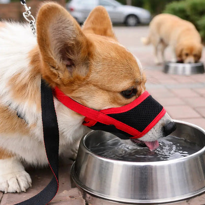 Comfort Plus | Dog Muzzle for Biting with Breathable Design | Adjustable Basket Muzzle for Safety and Control 8