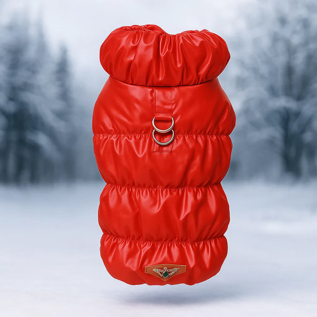 Cozy Cat Coats | Warm Winter Coat with Water-Resistant Fabric for Cold Weather Protection 7
