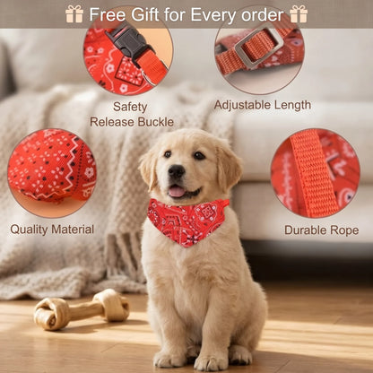Cozy Companion | Teddy Fleece Pet Carrier Hoodie with Spacious Pouch | Perfect for Cuddling and On-the-Go Comfort 8