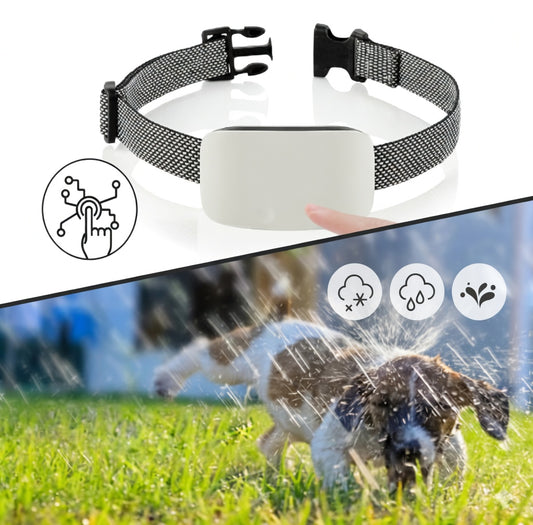 Tail-wagged automatic bark collar for dogs, USB rechargeable and waterproof, designed for gentle correction across all breeds.