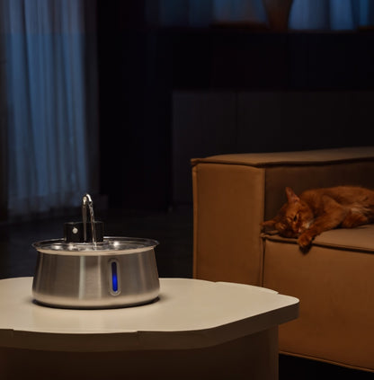 Pet Fountain | Wireless Cat Water Fountain with Adjustable Flow | Easy to Clean Design for Optimal Hydration