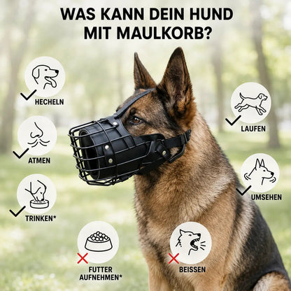 Durable Dog Muzzle | Stainless Steel Basket Muzzle with Adjustable Straps | Breathable Design for Comfort and Safety 6