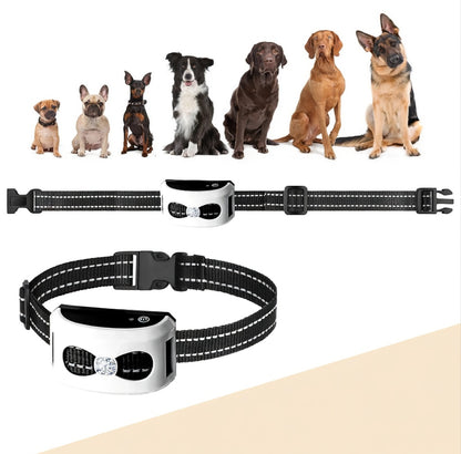 LumaGuard | Shock Collar for Dogs with Remote Control & Waterproof Design | 2-in-1 Wireless Fence for Effective Training