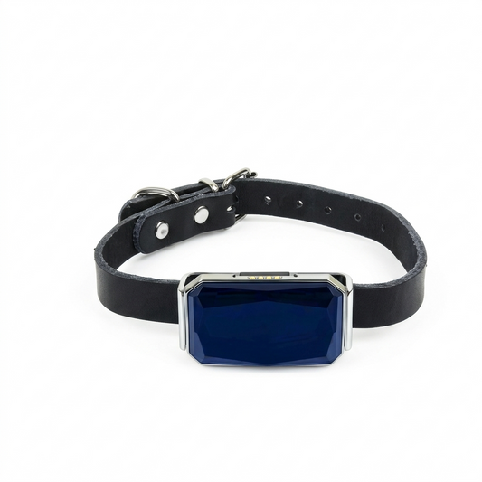 LumaTrace | GPS Tracker for Car with Real-Time Location Updates | Compact Device for Family Safety