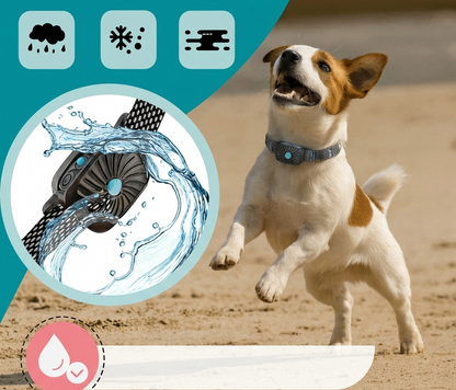 Gentle Anti Bark Collar for Small Dogs with Adjustable Vibration Levels | Safe Training Device for Effective Bark Control