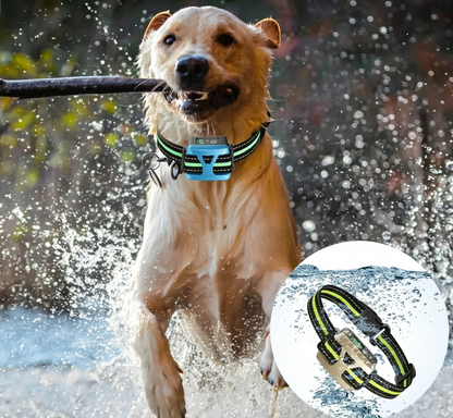 Rechargeable Anti Bark Collar with Adjustable Sensitivity | Waterproof Design for Effective Bark Control