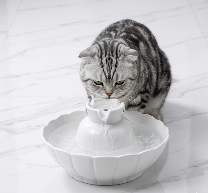 Ceramic Cat Water Fountain with Dual Filtration System | Eco-Friendly Design for Healthy Hydration