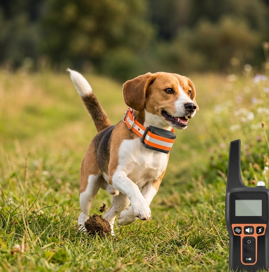 Waterproof dog training collar by tail-wagged with adjustable modes and 1000m range, designed for effective behavior control.