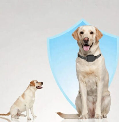 BarkPro | Dog Bark Collar with Touch Screen & Adjustable Shock Modes | Rechargeable for Effective Training