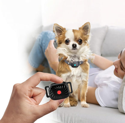 CalmPaw | Anti Bark Collar for Small Dogs with Adjustable Fit | Gentle Deterrent for Peaceful Living