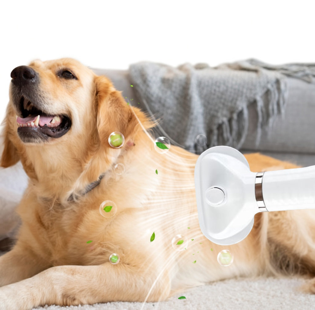 EZ Groom | Pet Grooming Tool with Adjustable Temperature & Gentle Airflow | Efficient Comb for Comfortable Drying