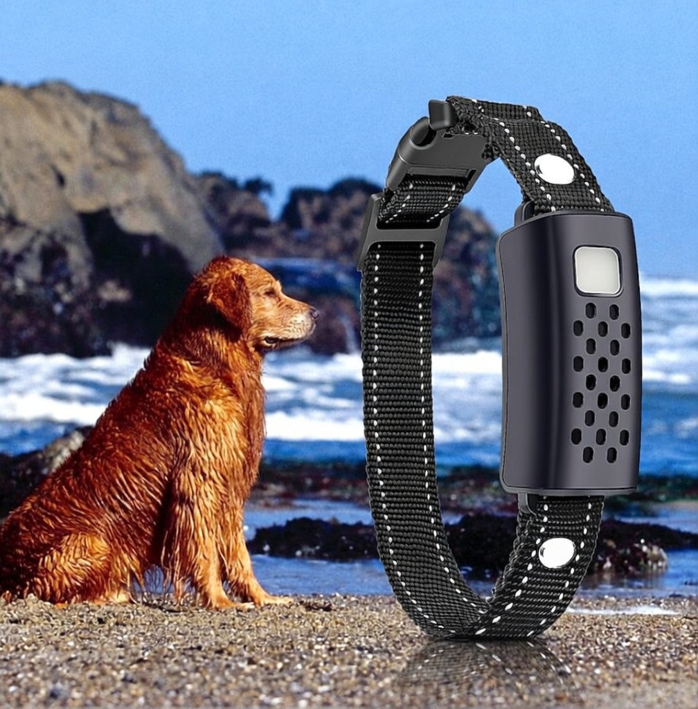 AstraGuard Pro | Dog Training Collar with 2000m Range & Waterproof Design | E-Collar for Effective Long-Distance Training