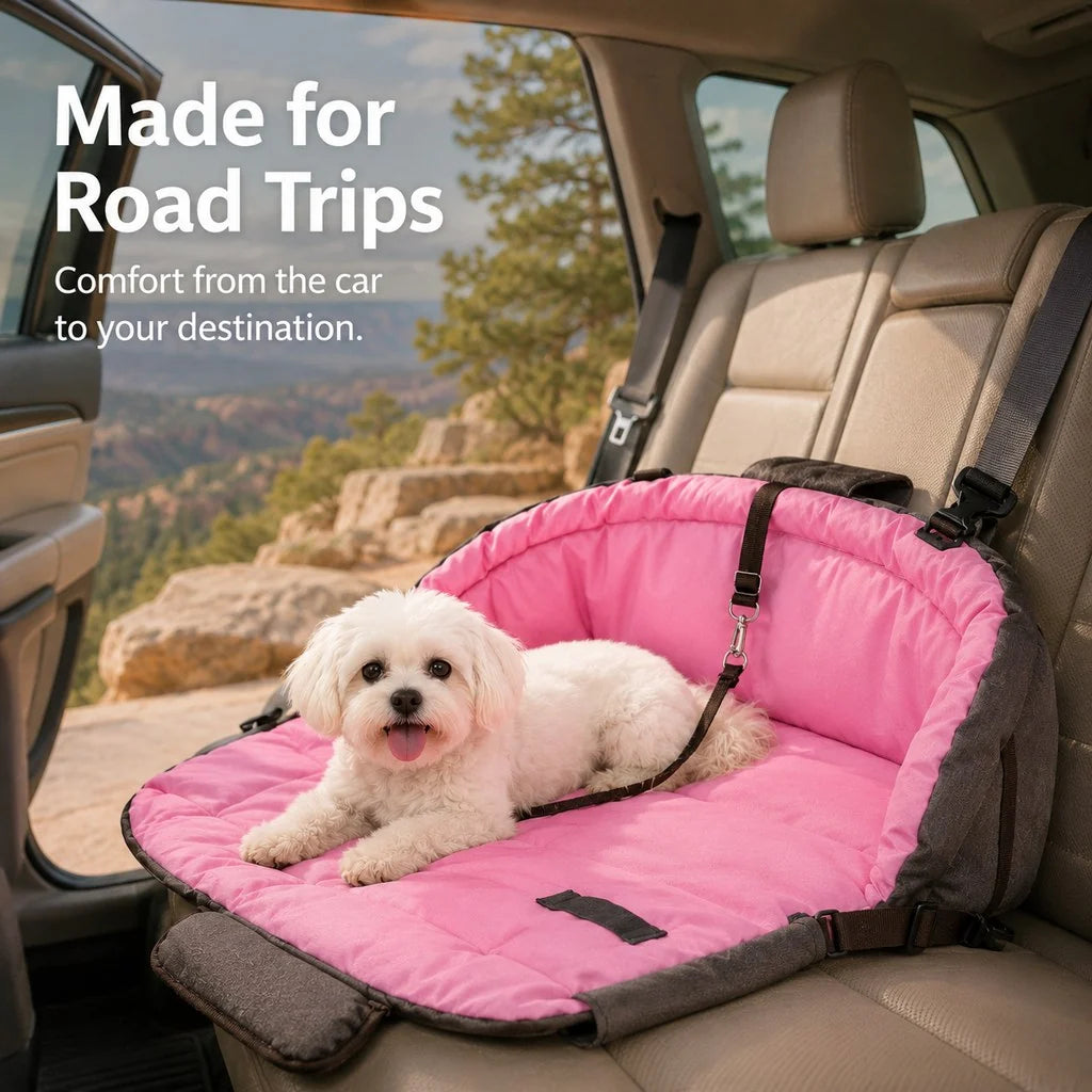 Paws in Awe | Dog Bed with Cushioned Comfort & Portable Carry Bag for Travel 3