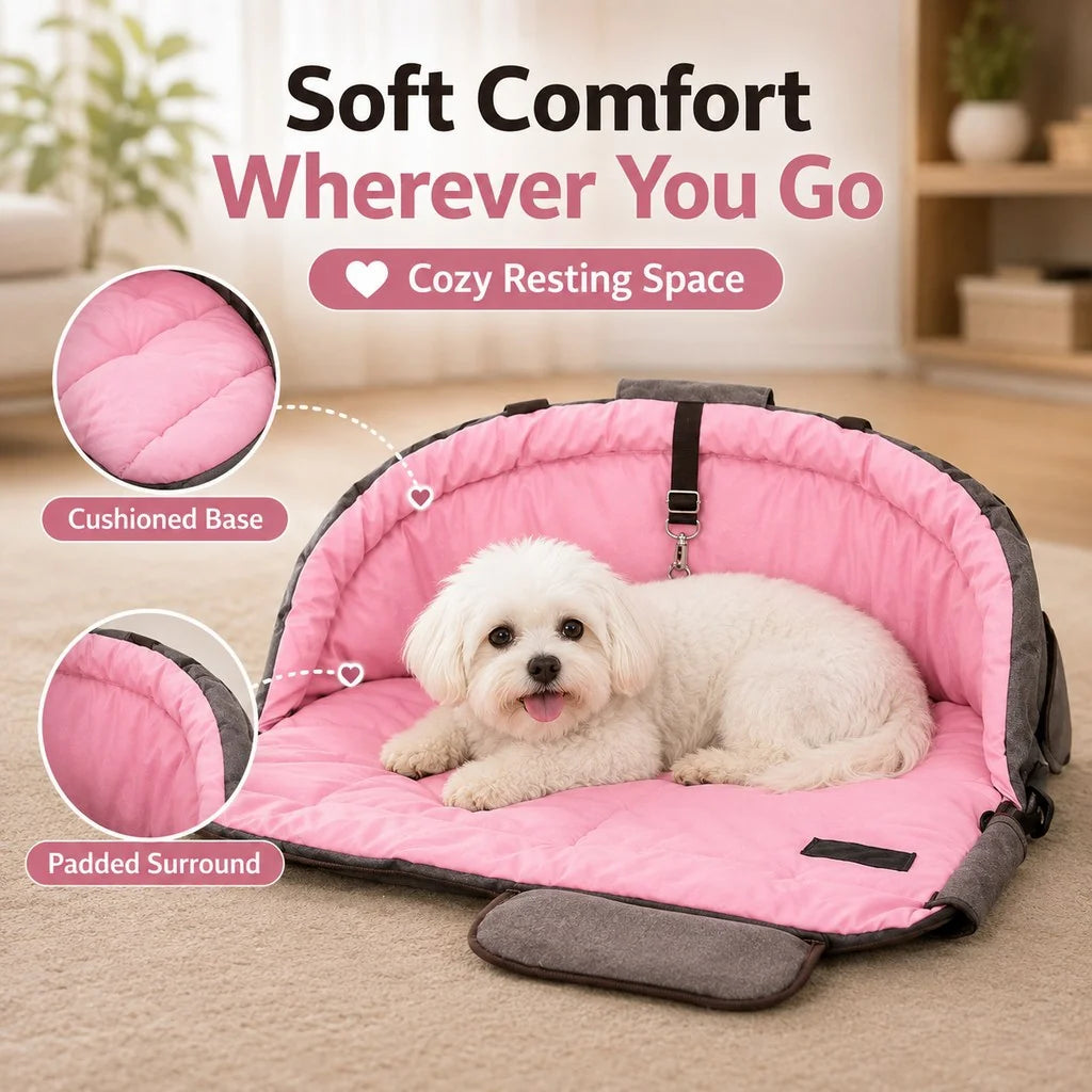 Paws in Awe | Dog Bed with Cushioned Comfort & Portable Carry Bag for Travel 4