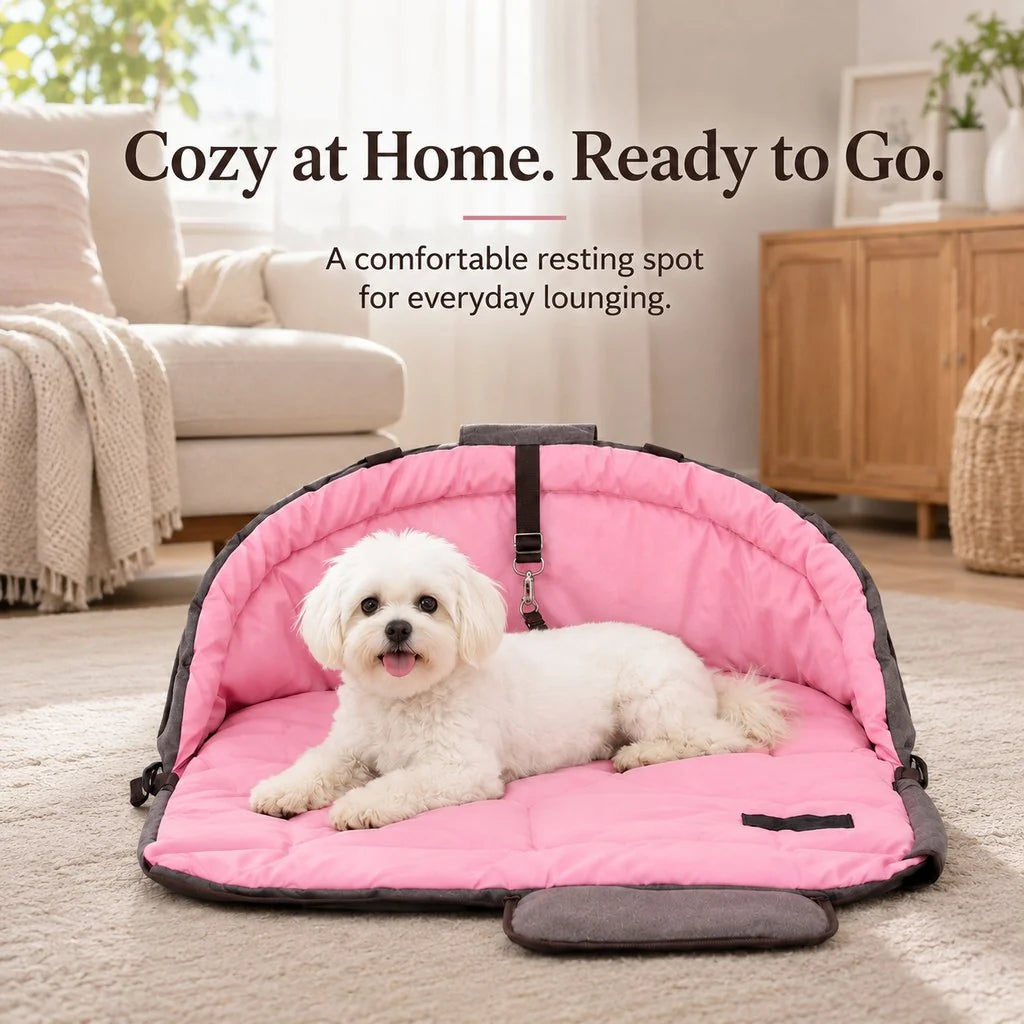Paws in Awe | Dog Bed with Cushioned Comfort & Portable Carry Bag for Travel 7