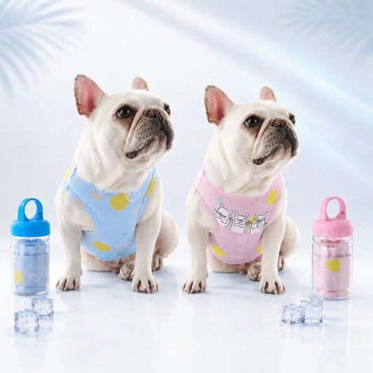 Paws in Awe | Dog Cooling Vest with Portable Bottle | Lightweight Comfort for Summer Adventures 0