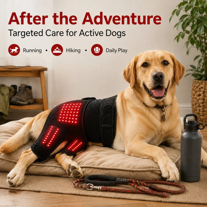 Paws in Awe | Wearable Red Light Therapy Sleeve for Dogs with Dual-Wavelength Technology | Adjustable Fit for Joint Comfort 1