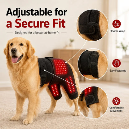 Paws in Awe | Wearable Red Light Therapy Sleeve for Dogs with Dual-Wavelength Technology | Adjustable Fit for Joint Comfort 8