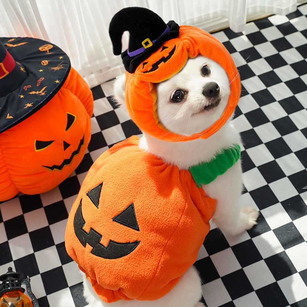Pawswins Pumpkin Pet Costume for Halloween with Lightweight Design | Fun Outfit for Dogs and Cats 1