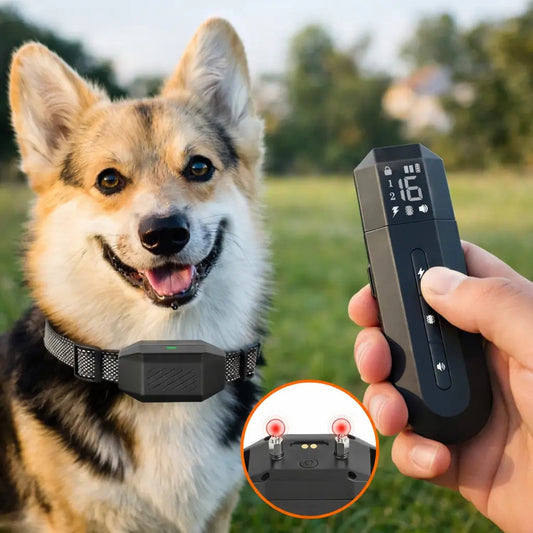 Pet Training Solutions | Dog Training Collar with Vibration & Beep | 800m Range for Effective Behavior Correction 0
