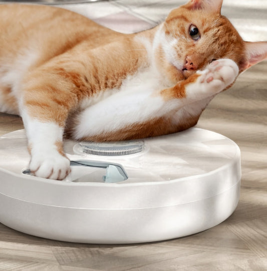 Automatic pet feeder by tail-wagged with 2K HD camera and portion control for cats and dogs.
