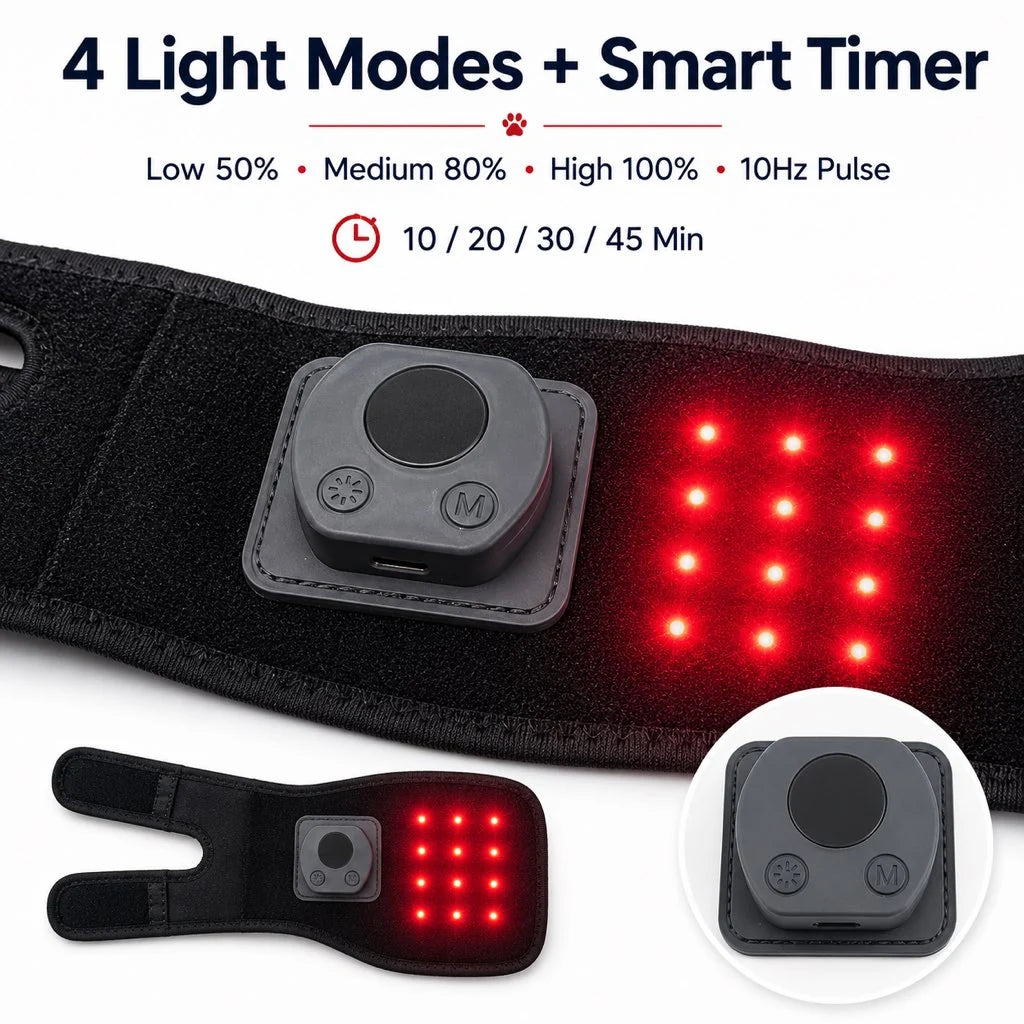Rechargeable Red Light Therapy Knee Wrap for Dogs with Adjustable Timer | Soft and Comfortable Support for Mobility Care 5