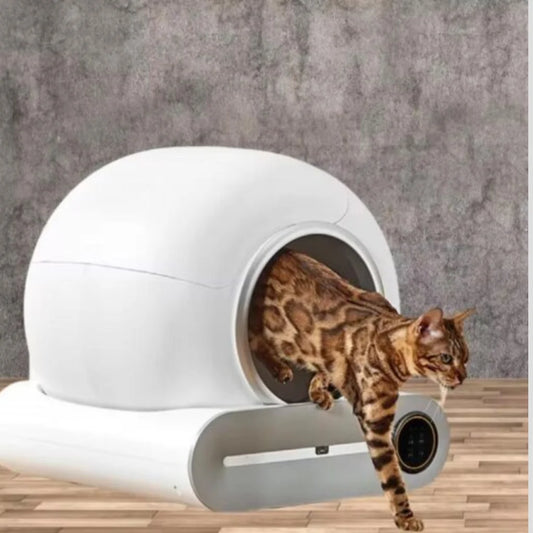 Smart Cat Litter Box | Automatic Self-Cleaning with App Control | Odor Control for Hassle-Free Pet Care 0