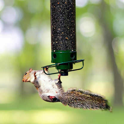Squirrel Proof Bird Feeder | Metal Tube with Four Feeding Ports | Durable Design for Attracting Backyard Birds 1