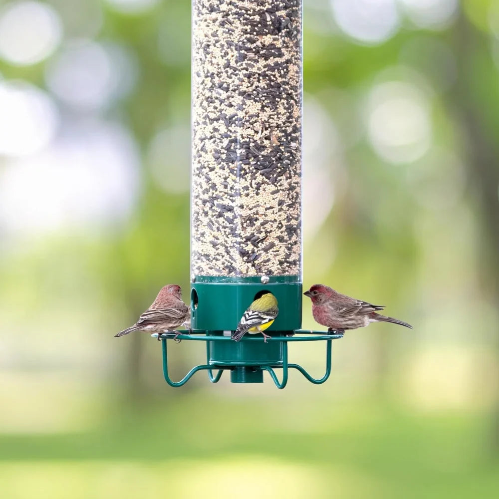Squirrel Proof Bird Feeder | Metal Tube with Four Feeding Ports | Durable Design for Attracting Backyard Birds 7