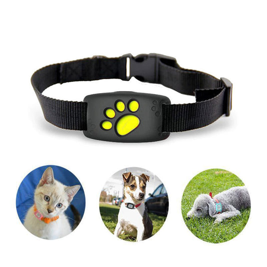 WhiskerGuard Pro | GPS Cat Tracker Collar with Real-Time Tracking | Durable Design for Outdoor Safety 1