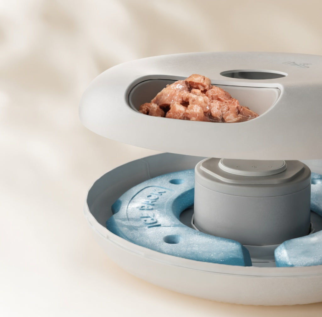 PetFeeder Pro | Automatic Pet Feeder with Ice Packs for Fresh Meals | Cordless Design for Convenient Feeding