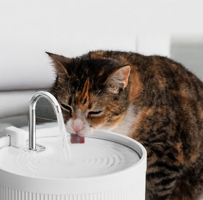 Ceramic Cat Fountain with Advanced Filtration System | Hygienic Design for Cats and Small Dogs