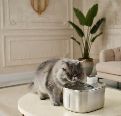 Wireless Pet Fountain | Cat Water Fountain with Adjustable Flow for Optimal Hydration