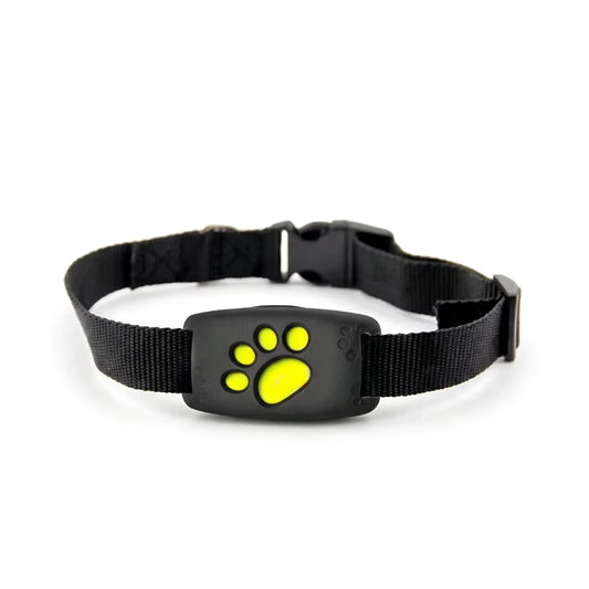 WhiskerGuard Pro | GPS Cat Tracker Collar with Real-Time Tracking | Durable Design for Outdoor Safety