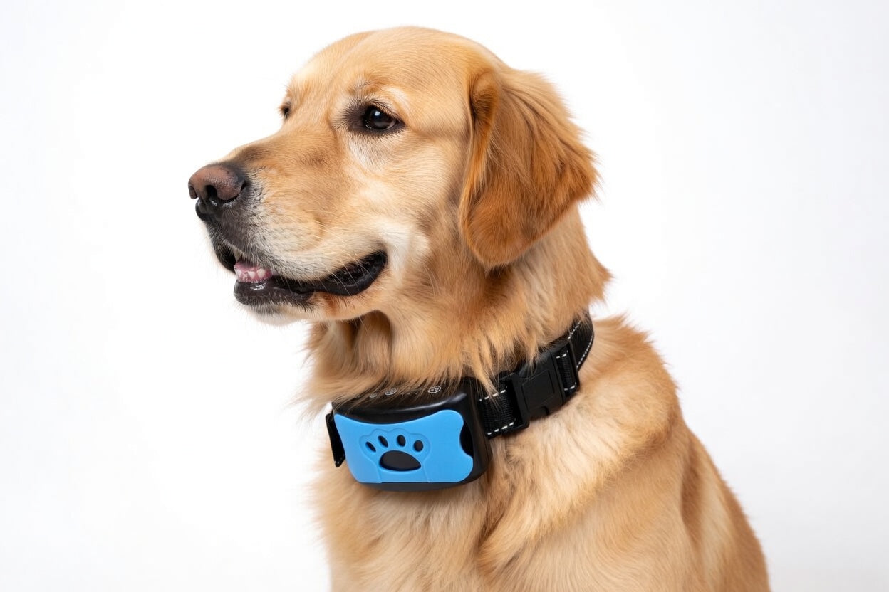 Norvo | Anti Bark Collar with Vibrations & Ultrasound | Gentle Bark Control Device for Calm Training