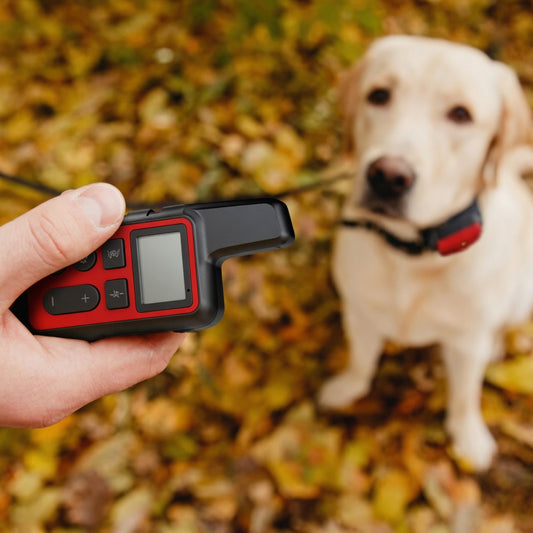 Tail-wagged dog training collar with waterproof design and 500m range, durable for effective and safe pet training.