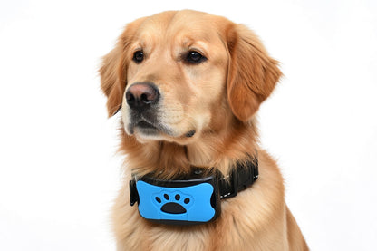 Norvo | Anti Bark Collar with Vibrations & Ultrasound | Gentle Bark Control Device for Calm Training