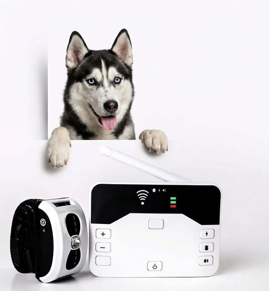 Tail-wagged 2-in-1 waterproof dog training collar and wireless fence with remote control for effective pet training.