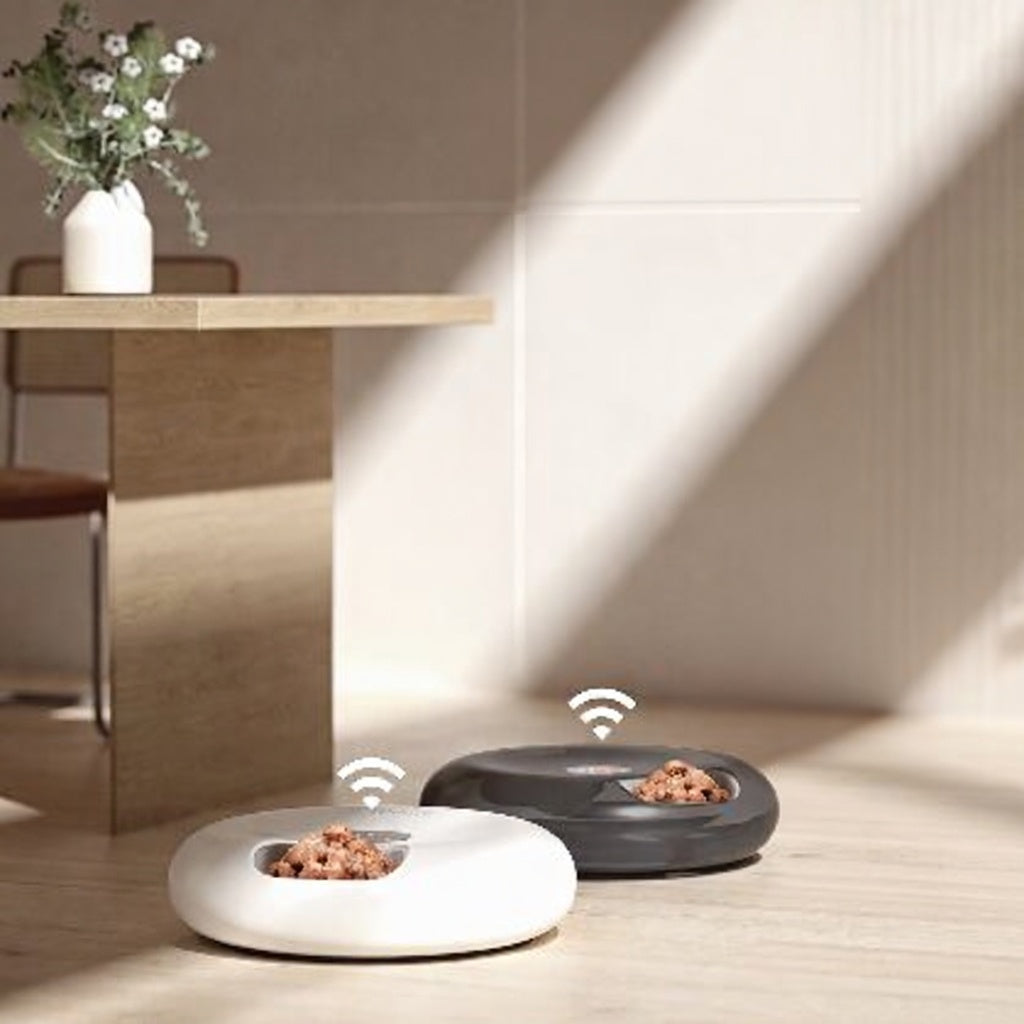 PetFeeder Pro | Automatic Pet Feeder with Ice Packs for Fresh Meals | Cordless Design for Convenient Feeding