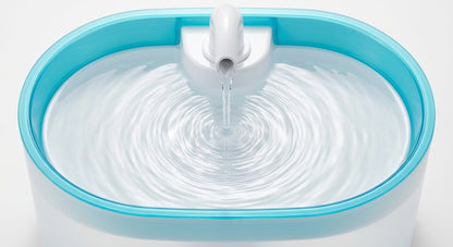 A modern oval water fountain with a white body and a bright turquoise blue rim, featuring a central spout pouring water that creates ripples on the surface.